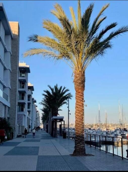 Marina Appartement With Beach View Los Ángeles Exterior foto